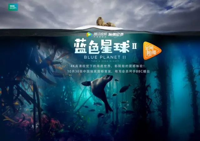 柚木 - 姐妹母 孕妇剧照1